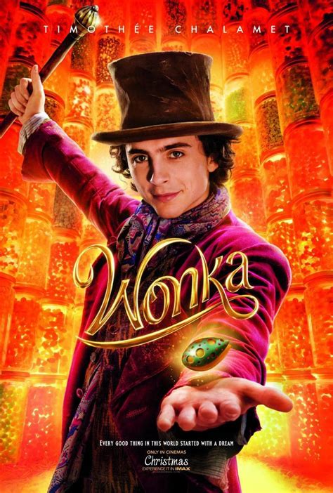 wonka filmaffinity|critico de wonka.